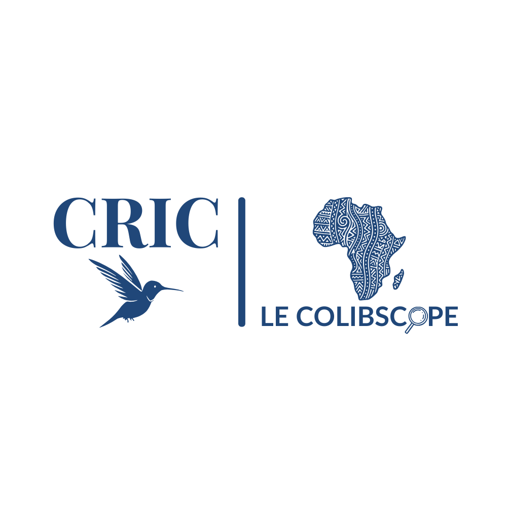 Les transitions politiques en Afrique subsaharienne : entre ruptures et continuités institutionnelles
